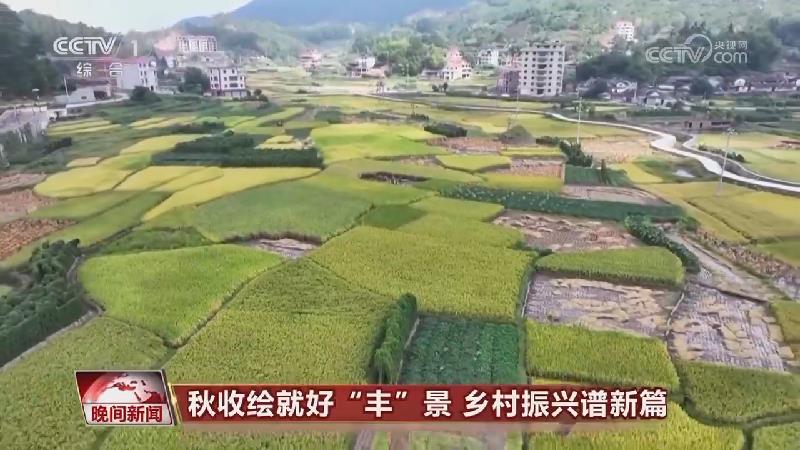 [視頻]秋收繪就好“豐”景_鄉(xiāng)村振興譜新篇_2025-09-09_22_28_18.jpg